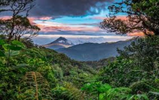 Picture of Costa Rica: First country in the world to use artificial intelligence to create its Nation Brand strategy
